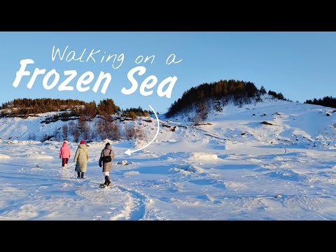 Visiting The RUSSIAN FAR NORTH - Could Arkhangelsk Be Our New Home? | Rural Russia