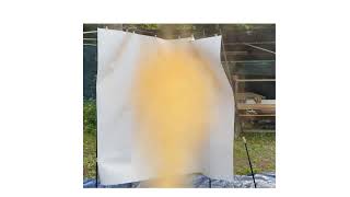 動画のサムネイル