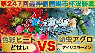 【蟲神器】『第247回鹿嶋市杯決勝戦』どせいVSアイリスラーメン『色彩ビートVS幼虫アグロ』『アオオサムシ、クロテイオウゼミ、セミヤドリガ、イラガセイボウ』