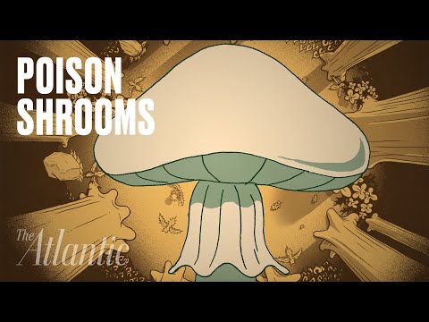 Death-Cap Mushrooms Are Terrifying and Unstoppable