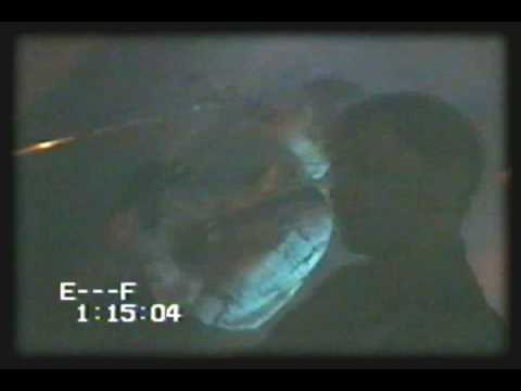 THE TWIGGS - YOU GOT MY NUMBER