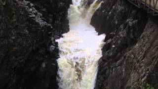 Day Wave - Total Zombie [HD]