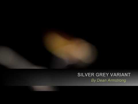 Silver Grey Variant Atlantic Salmom Fly