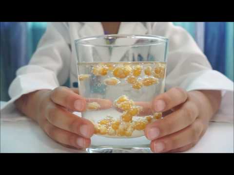 Experiment - Porumb săltăreț