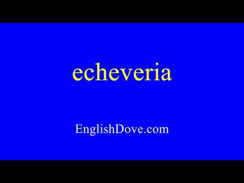 How to pronounce echeveria in American English