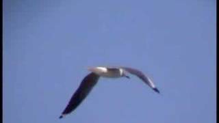 Para ti Mi Amor - Luciano Pereyra