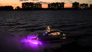 Fishgillz Display w/36 Pair - Display Is Full Of Information & Can Be Moved