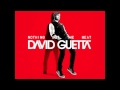 David Guetta Feat. Dev & Timbaland - I Just Wanna F**k (Official Version - New August 2011)