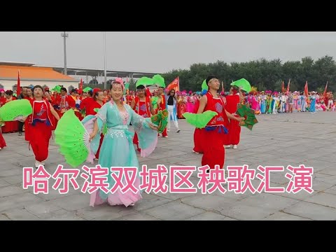 Harbin Shuangcheng District Praça de alta velocidade Qingqing Hui Performance ~ China East Bei Lao 统扭qingqing/Tração para duas pessoas