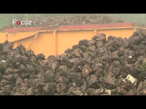 De Boer Op - aflevering 9 - 22 oktober 2013