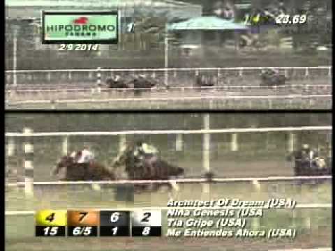 1RA CARRERA DOMINGO 9 DE FEBRERO DEL 2014 H P R