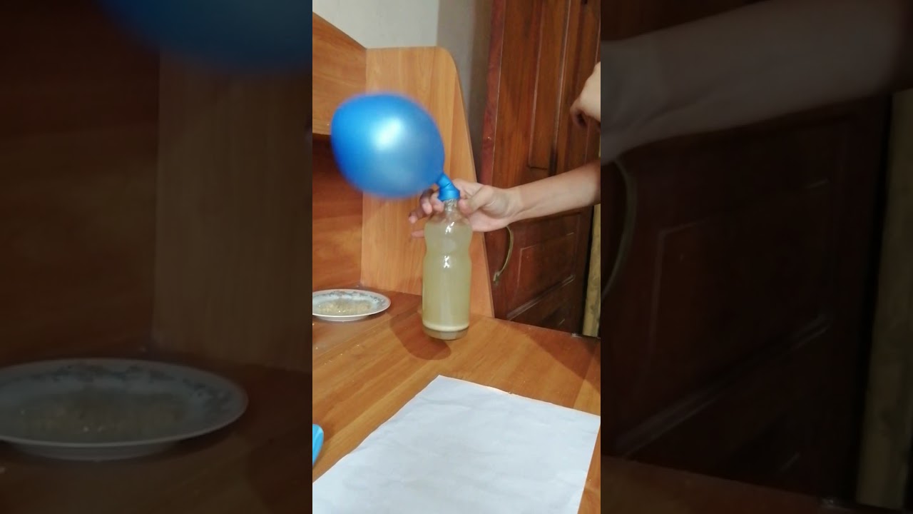 Grade 8#science#1 lesson#Activity 1.3#Shorts