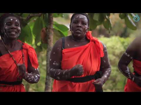 Mumias United  - 'Shikumba Shingokho'