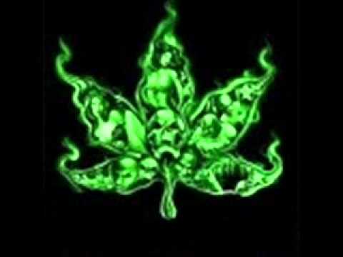 Jasna Liryka   Butla