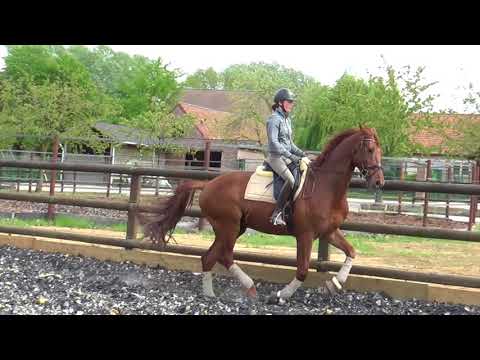 Vivaldi x Farrington - 2011 (april 2018)