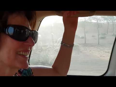 Mit dem Jeep in die Wüste 9