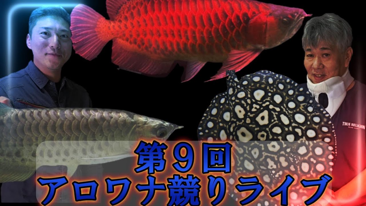 第９回アロワナ競りライブ