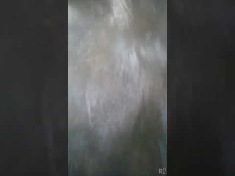 Malayalam film song / kunjurangum koottinullil /Ponnuchami / NISHMA SHERIN