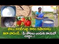 Kashayalu for Organic Farming | పాలు, అరటిగుజ్జు, కారం కషాయాలు ఇల