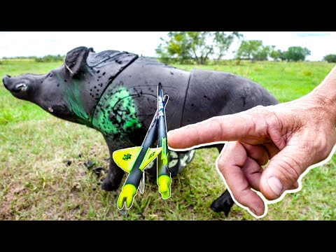 BARE SHAFT TUNE your ARROWS w/ Ranch Fairy!