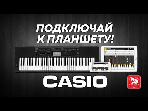Обзор синтезатора Casio CTK-3500