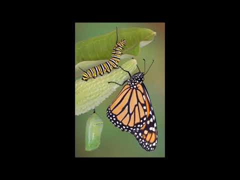 060219 The Journey of Becoming with Rev  Denise Schubert