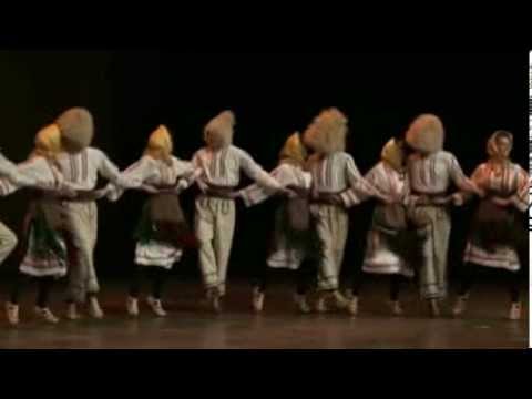 KUD Mladost Nova Pazova -Sava centar 2013