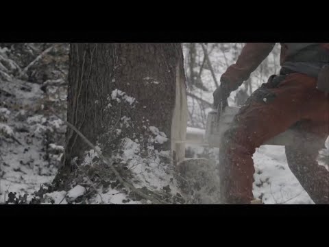 Die Allgäuer Holzfäller