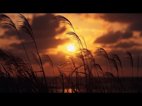 Deep Soulful Lovely Piano Hip Hop Instrumental | prod. Element ♪