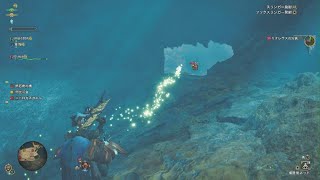 Monster Hunter Wilds　引っかかっりバグ？