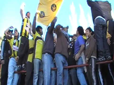 "deportivo madryn cata" Barra: La Incomparable • Club: Deportivo Madryn