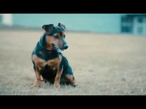 Dry Dudes - Runaway (Official Video)