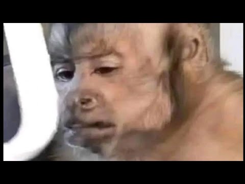 Bank Transactions and Steak