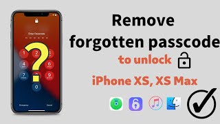 Remove forgotten passcode to unlock a disabled iPhone XS, XS Max