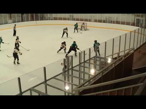 U14 White Sharks - Zempléni Hiúzok 2021 02 13 összefoglaló