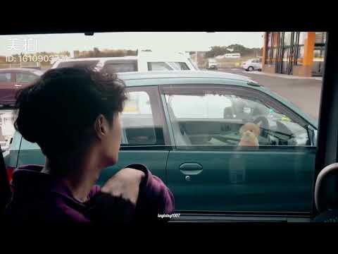 180817 Zhang Yixing Lay - Yixing studio weibo update 張藝興觀日記之馬小興逗狗記