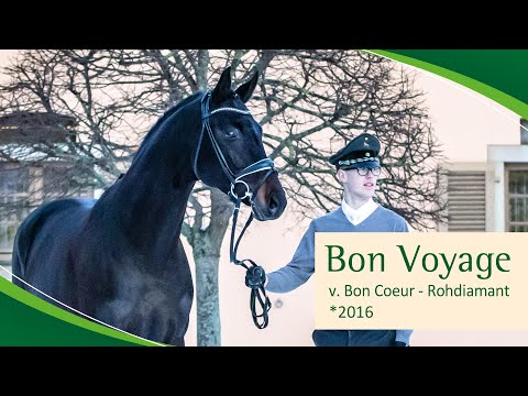 BON VOYAGE v. Bon Coeur - Rohdiamant