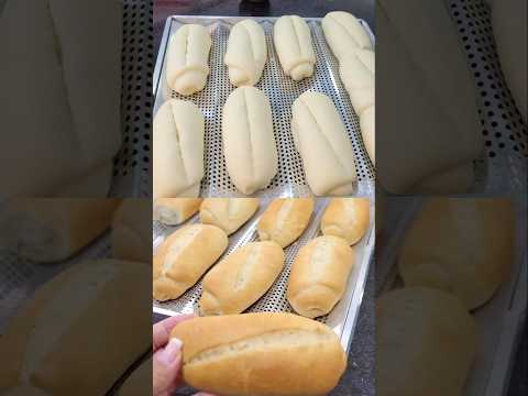 Pão francês o famoso cacetinho caseiro parei de ir a padaria #receitadepao #paofrances #receita