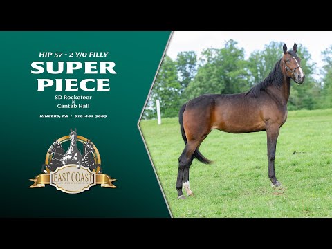 (Superpiece) SD Rocketeer x Cantab Hall - Lot 57