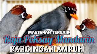 Download lagu POKSAY MANDARIN ISIAN UNIK mp3