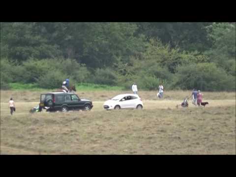 buddy xc eridge intermediate