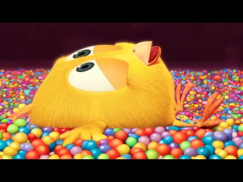 Piscina de bolinhas | Onde está Chicky? | Pintinha amarelinho | Coleção desenhos animados Infantil