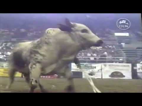 Lefty bucks Adriano Moraes - 04 PBR Bismarck