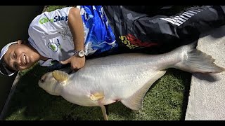 BULL ARENA FISHING PARK TRẢI NGHIỆM CÂU CÁ KHỦNG NHẤT VIỆT NAM | KO THUA GÌ BUNGSAMRAN THÁI LAN