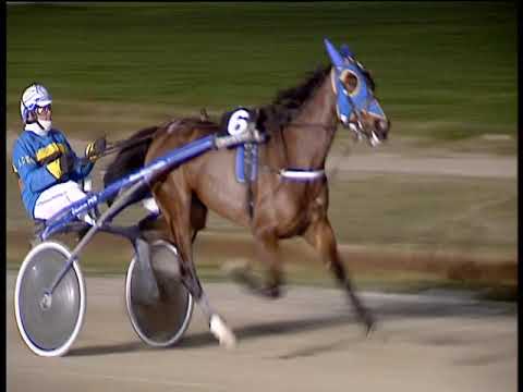 Trotto 10/02/2019 - 6ª corsa