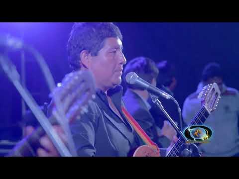 Por Tu Amor Sufro - Osito Pardo