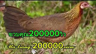 Download lagu 𝚜𝚞𝚊𝚋 𝚙𝚘𝚓 𝚚𝚊𝚒𝚋 𝚚𝚞𝚜 𝚜𝚎𝚎𝚟 𝚣𝚘𝚘 𝚍𝚒𝚋 𝚝𝚞𝚊𝚓 𝚣𝚘𝚘 𝚑𝚎𝚎𝚟. 𝚖𝚙3 2025/2/8 mp3 Download lagu 𝚜𝚞𝚊𝚋 𝚙𝚘𝚓 𝚚𝚊𝚒𝚋 𝚚𝚞𝚜 𝚜𝚎𝚎𝚟 𝚣𝚘𝚘 𝚍𝚒𝚋 𝚝𝚞𝚊𝚓 𝚣𝚘𝚘 𝚑𝚎𝚎𝚟. 𝚖𝚙3 2025/2/8 mp3