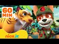 PAW Patrol S Jungle Pups Rescue Giant Animals W Marshall Tracker 1 Hour Nick Jr