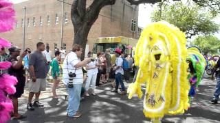 Super Sunday Mardi Gras Indians 2012