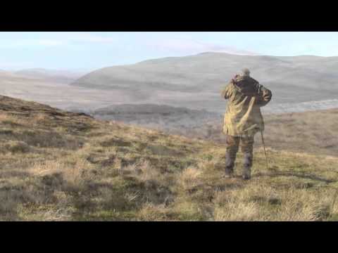 Highland Stag , My first but not my Last